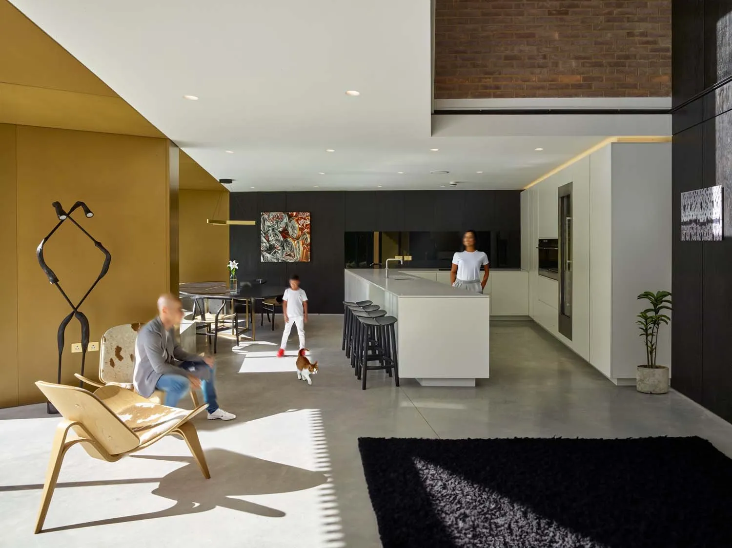Modern Detached